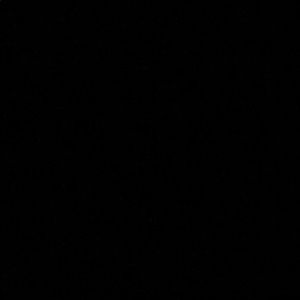 Meet your Posher, Ally